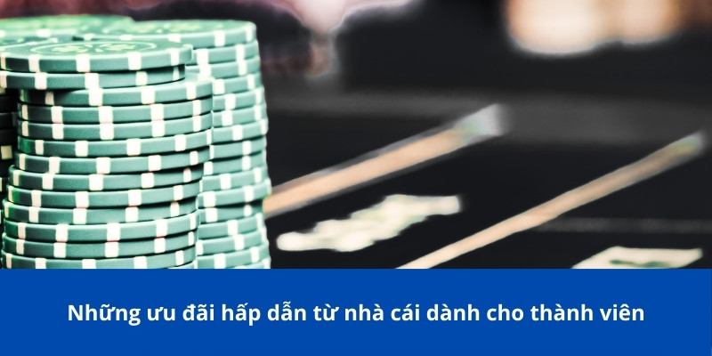 Khuyến Mãi NOHU: Cơ Hội Vàng Cho Người Chơi Cược Online 2 Những khuyến mãi NOHU dành cho thành viên
